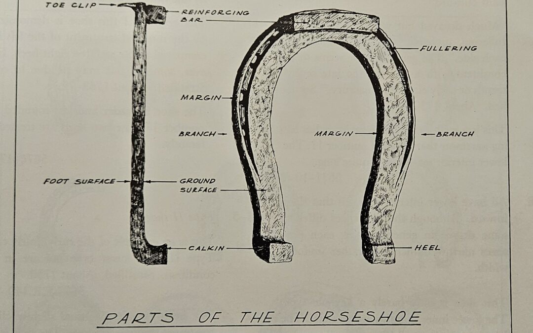 Figure 1: Parts of the Horseshoe (Chapelle 1971:109).