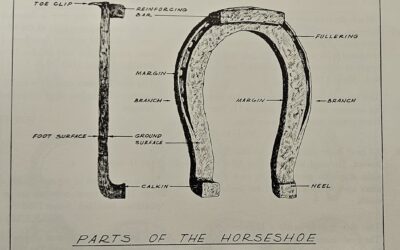 Are Horseshoes Truly a Symbol of Good Luck? Analysis of Horseshoes on Battlefields from Virginia