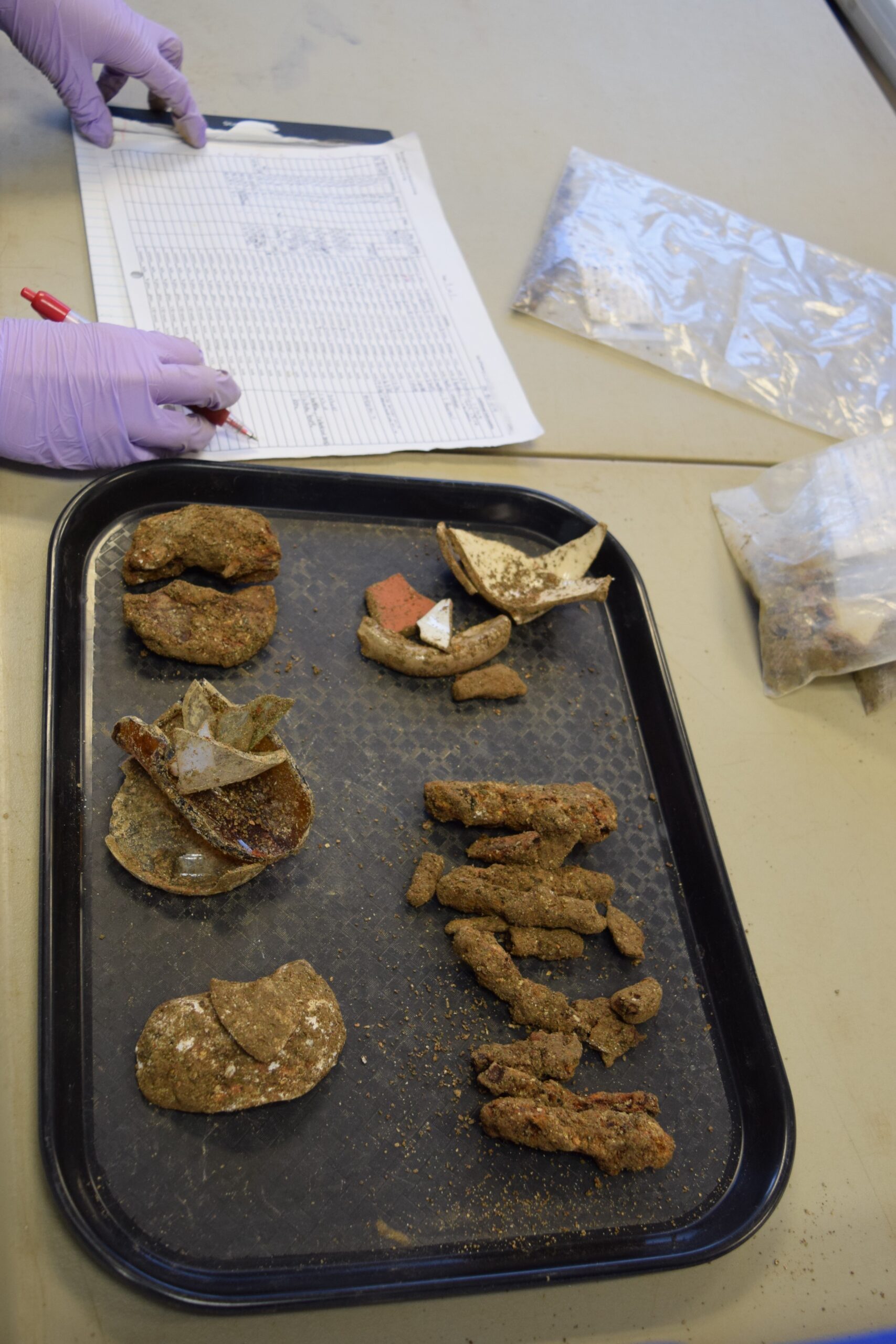 tray of artifacts