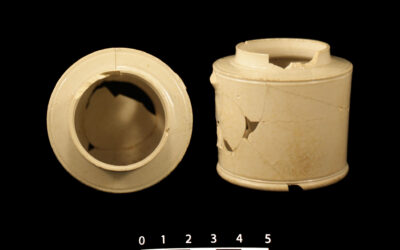 Was a mustard pot used for exactly what it sounds like?